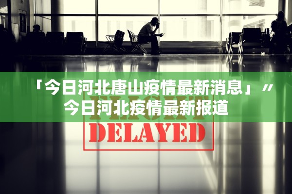 石家庄新增1例确诊病例︰(石家庄新增31例确诊)