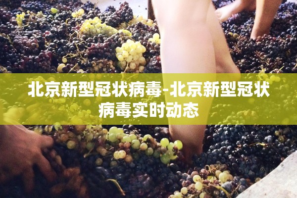 北京新型冠状病毒-北京新型冠状病毒实时动态