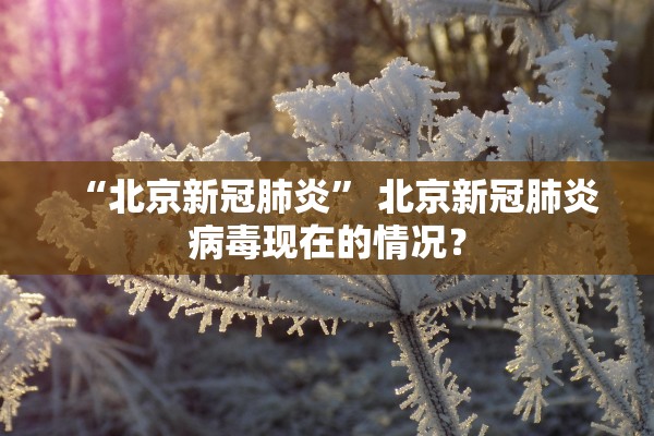 “北京新冠肺炎” 北京新冠肺炎病毒现在的情况？