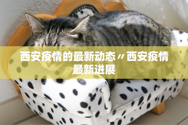 深圳新增本土19例〃深圳新增11例