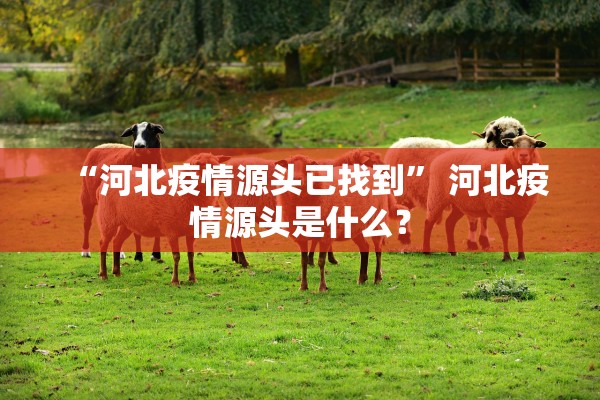 “河北疫情源头已找到” 河北疫情源头是什么？