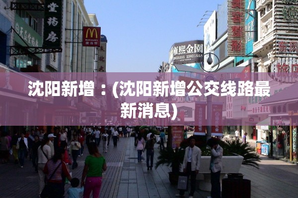 沈阳新增︰(沈阳新增公交线路最新消息)