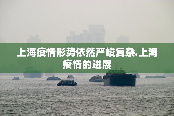 上海疫情形势依然严峻复杂.上海疫情的进展 上海疫情形势依然严峻复杂.上海疫情的进展