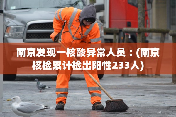 南京发现一核酸异常人员︰(南京核检累计检出阳性233人)