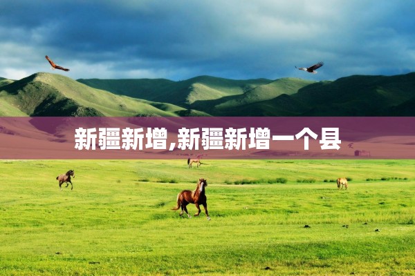 新疆新增,新疆新增一个县