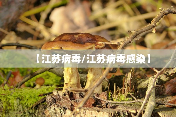 【江苏病毒/江苏病毒感染】 【江苏病毒/江苏病毒感染】