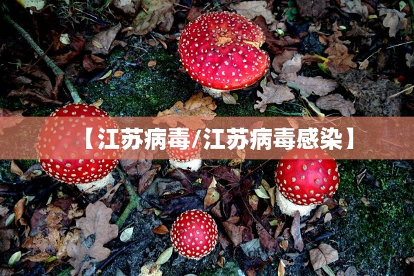 【江苏病毒/江苏病毒感染】 【江苏病毒/江苏病毒感染】