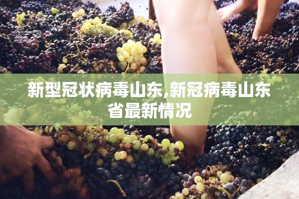 新型冠状病毒山东,新冠病毒山东省最新情况