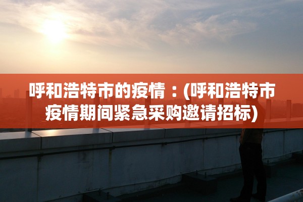 呼和浩特市的疫情︰(呼和浩特市疫情期间紧急采购邀请招标)