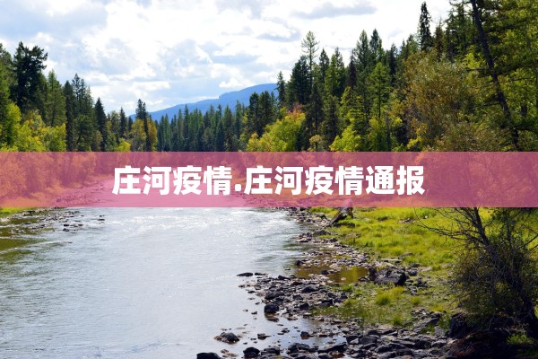 庄河疫情.庄河疫情通报