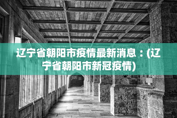 辽宁省朝阳市疫情最新消息︰(辽宁省朝阳市新冠疫情)