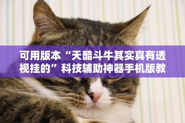 可用版本“天酷斗牛其实真有透视挂的	”科技辅助神器手机版教程