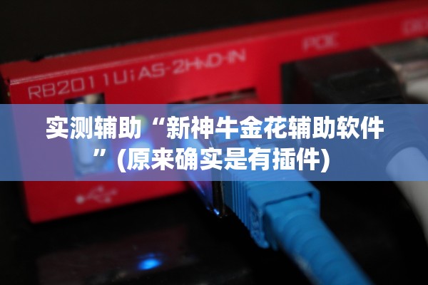 实测辅助“新神牛金花辅助软件”(原来确实是有插件) 
