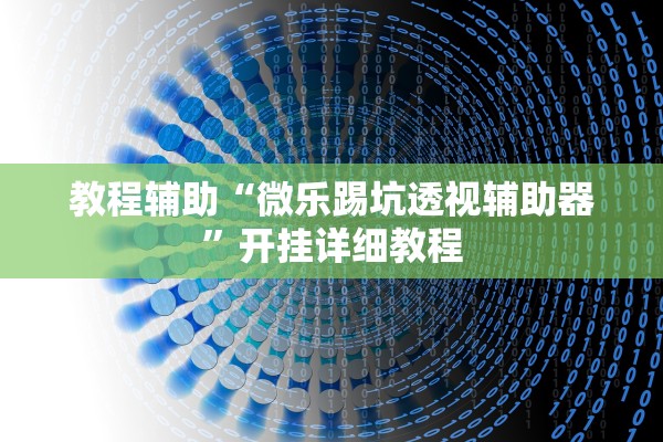 教程辅助“微乐踢坑透视辅助器”开挂详细教程
