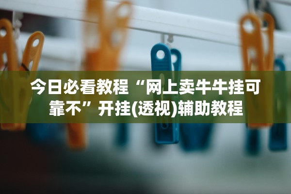 今日必看教程“网上卖牛牛挂可靠不”开挂(透视)辅助教程