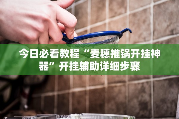 今日必看教程“麦穗推锅开挂神器	”开挂辅助详细步骤