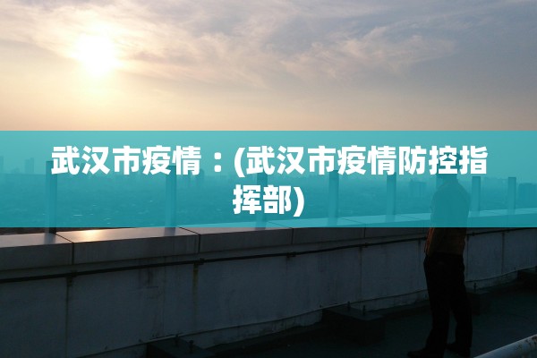 武汉市疫情︰(武汉市疫情防控指挥部)