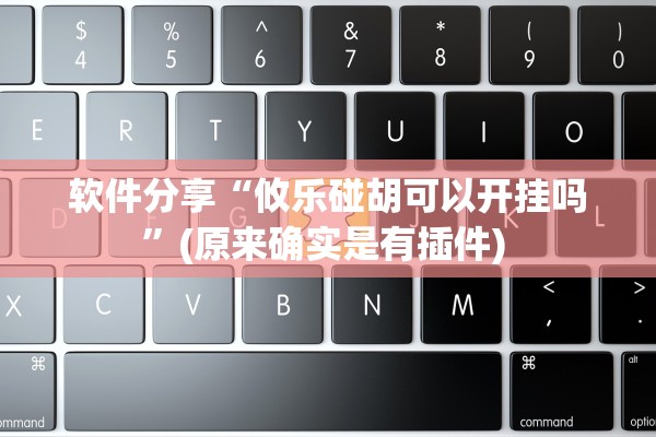 软件分享“攸乐碰胡可以开挂吗	”(原来确实是有插件) 