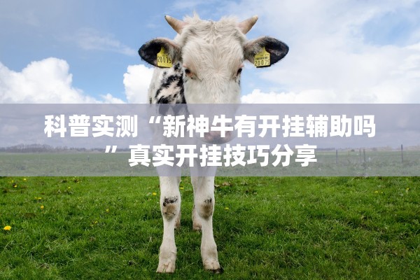 科普实测“新神牛有开挂辅助吗”真实开挂技巧分享