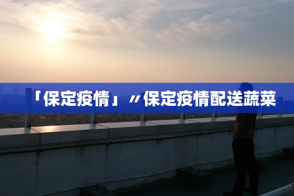 「保定疫情」〃保定疫情配送蔬菜 「保定疫情」〃保定疫情配送蔬菜