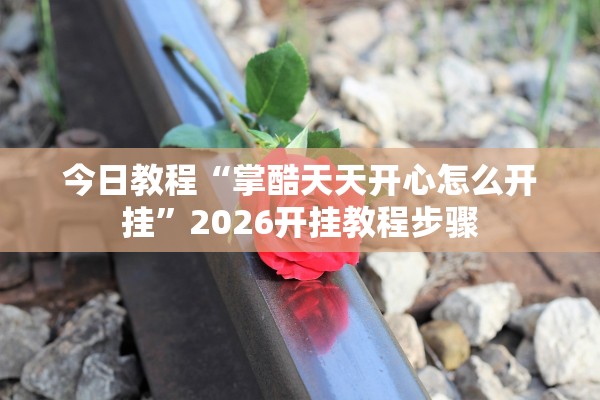 今日教程“掌酷天天开心怎么开挂”2026开挂教程步骤