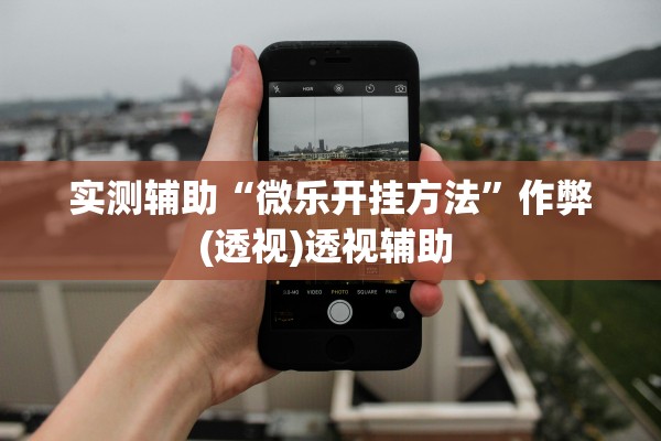 实测辅助“微乐开挂方法”作弊(透视)透视辅助 