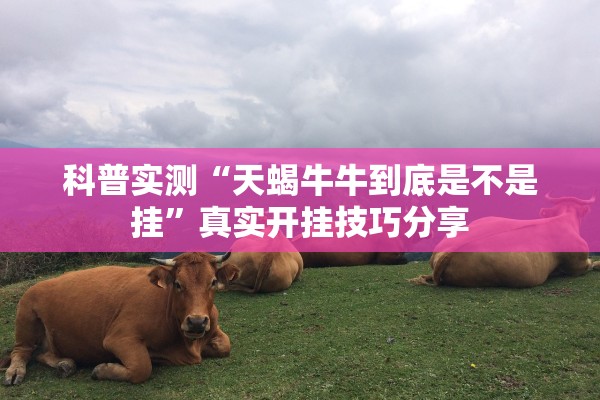 科普实测“天蝎牛牛到底是不是挂	”真实开挂技巧分享