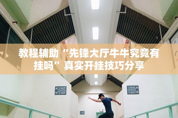 教程辅助“先锋大厅牛牛究竟有挂吗”真实开挂技巧分享