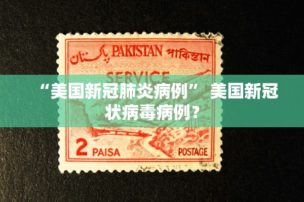 “美国新冠肺炎病例” 美国新冠状病毒病例？