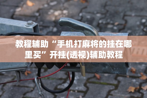 教程辅助“手机打麻将的挂在哪里买	”开挂(透视)辅助教程