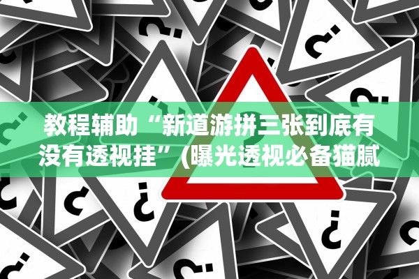 教程辅助“新道游拼三张到底有没有透视挂	”(曝光透视必备猫腻)