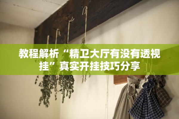 教程解析“精卫大厅有没有透视挂”真实开挂技巧分享