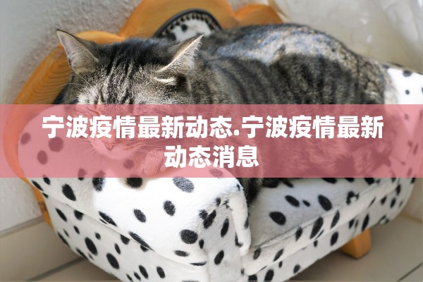 宁波疫情最新动态.宁波疫情最新动态消息