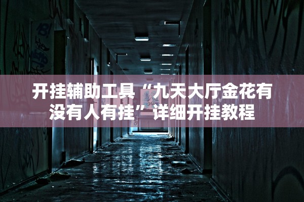 开挂辅助工具“九天大厅金花有没有人有挂”详细开挂教程