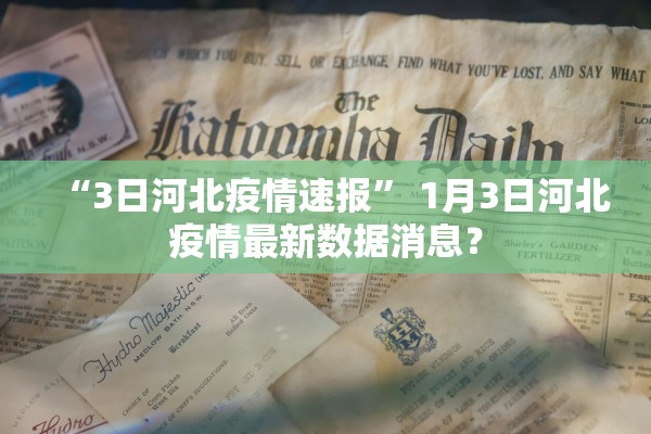 “3日河北疫情速报” 1月3日河北疫情最新数据消息？