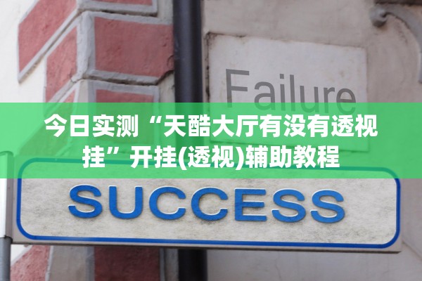 今日实测“天酷大厅有没有透视挂”开挂(透视)辅助教程