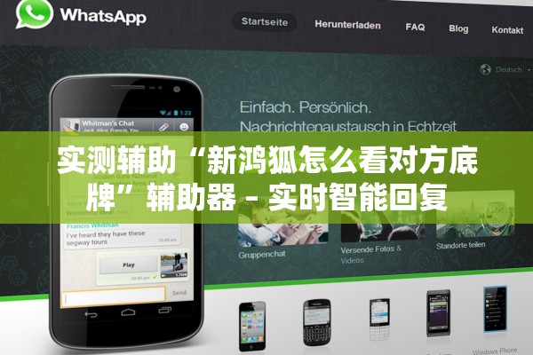 实测辅助“新鸿狐怎么看对方底牌”辅助器 – 实时智能回复