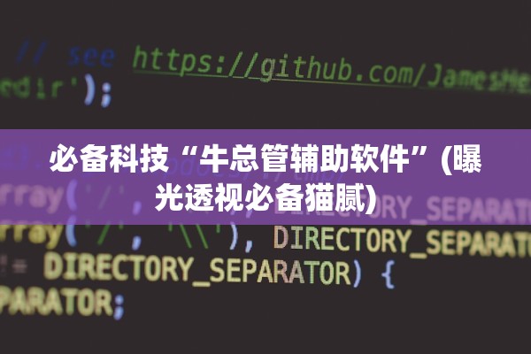 必备科技“牛总管辅助软件”(曝光透视必备猫腻)