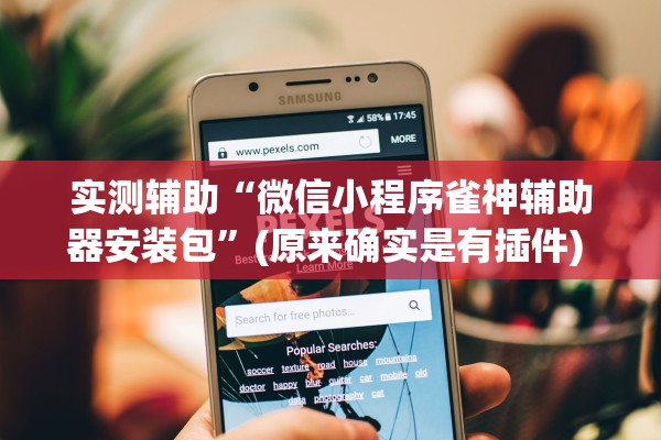 实测辅助“微信小程序雀神辅助器安装包”(原来确实是有插件) 
