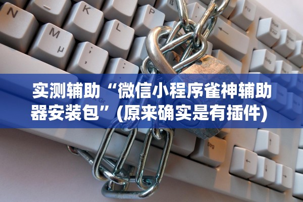 实测辅助“微信小程序雀神辅助器安装包”(原来确实是有插件) 
