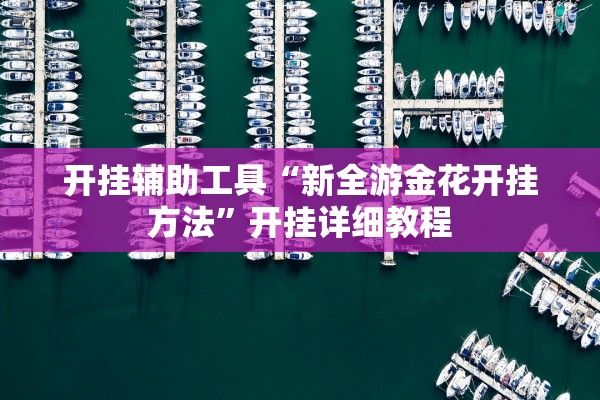 开挂辅助工具“新全游金花开挂方法”开挂详细教程