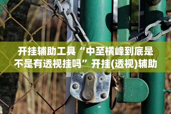 开挂辅助工具“中至横峰到底是不是有透视挂吗”开挂(透视)辅助教程