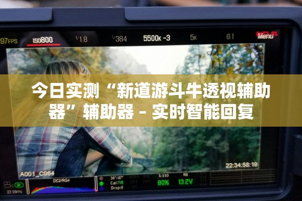 今日实测“新道游斗牛透视辅助器”辅助器 – 实时智能回复