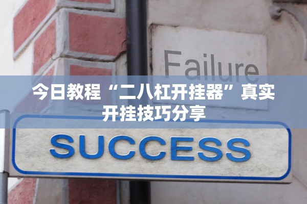 今日教程“二八杠开挂器	”真实开挂技巧分享