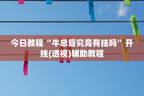 今日教程“牛总管究竟有挂吗”开挂(透视)辅助教程