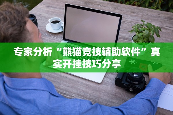 专家分析“熊猫竞技辅助软件”真实开挂技巧分享