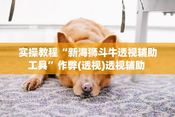 推荐一款“讯奇麻将辅牌器	”(原来确实是有插件) 