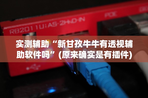 实测辅助“新甘孜牛牛有透视辅助软件吗”(原来确实是有插件)