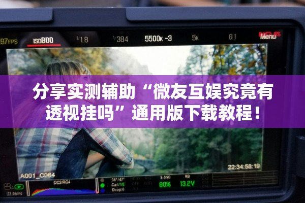 分享实测辅助“微友互娱究竟有透视挂吗”通用版下载教程！