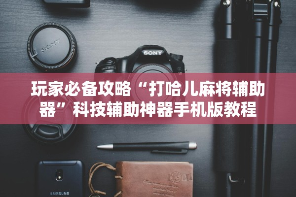 玩家必备攻略“打哈儿麻将辅助器”科技辅助神器手机版教程